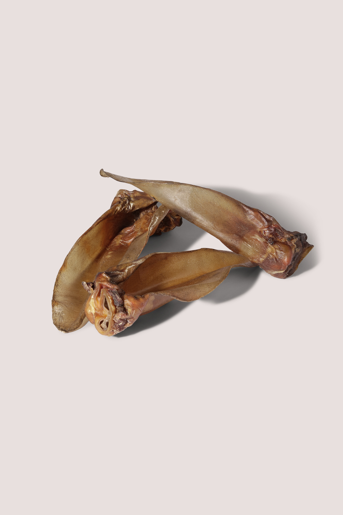 EVERYDAY BEEF CHEWS 5PCS